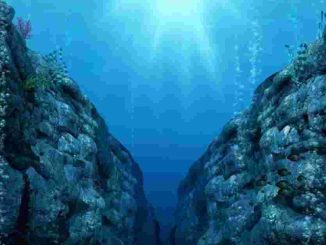 Wisata Di palung yang ada di dunia