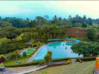 Bermain Dan Berlibur di The Lone Swan Park