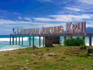 Pantai Krui Lampung Paling Cocok Untuk Surfing