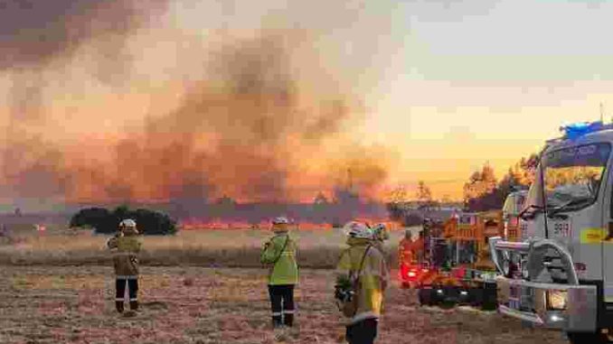 Kebakaran Hutan Di Australia Masyarakat Di Minta Mengungsi